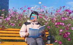 最新版天堂资源网在线种子